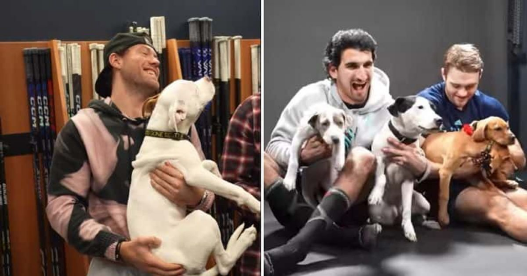 [Upworthy] Seattle Kraken creates adorable calendar featuring players with their pets and adoptable canines
