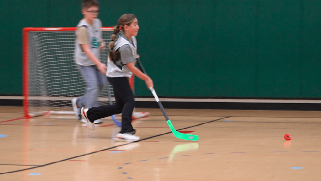 Floor Of Ball Hockey Dreams 